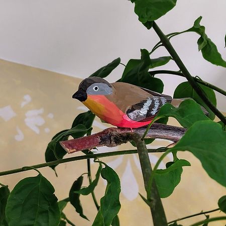 Harmony Resort パルガ エクステリア 写真